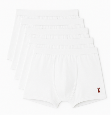 5 Pack All White Men's Boxer Briefs - 5 Pieces
